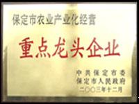 保定市重點龍頭企業