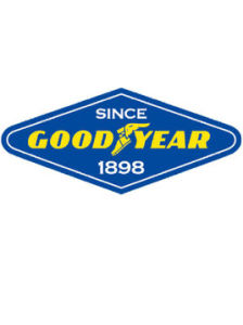 美國固特異輪胎橡膠公司