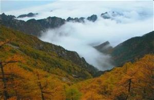 太白山國家級自然保護區