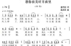 想你在美好月夜裡 想你在美好月夜裡