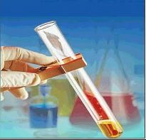 華以清血納豆激酶 華以清血納豆激酶