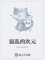 混亂的次元 混亂的次元