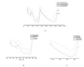 魷魚墨黑色素 魷魚墨黑色素