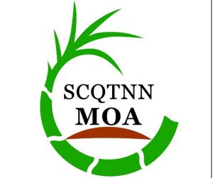 廣西甘蔗研究所