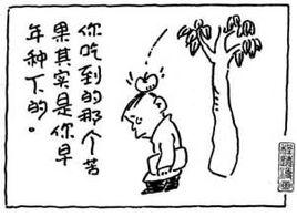 苦果[漢語詞語]