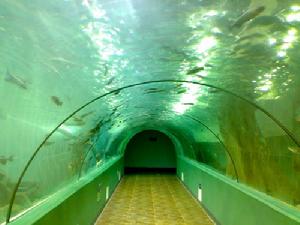 (圖)合肥漢海極地海洋世界