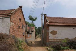 西邢村[山東濟南市萊蕪區苗山鎮下轄村]