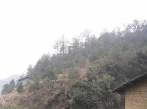 天城鄉[四川大竹縣天城鎮]