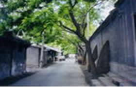 白廟街道 白廟街道