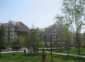 清華商務 清華商務