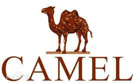 廣東駱駝服飾有限公司 廣東駱駝服飾有限公司