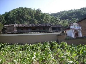 西達己村 西達己村