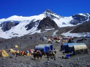 阿空加瓜 阿空加瓜