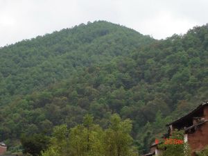 阿者郎村 阿者郎村