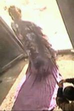 優雅端莊的張美人