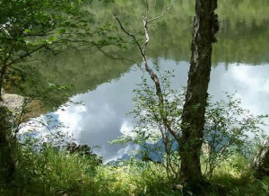 長白山瀑布與溫泉群