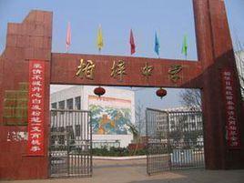 柏梓中學 柏梓中學