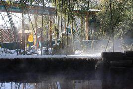 靜之湖溫泉 靜之湖溫泉