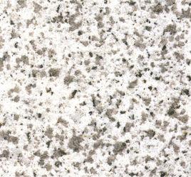 Walt White Walt White