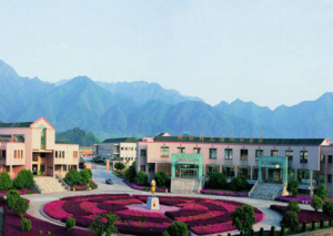 桐廬蜂之語蜜蜂王國 桐廬蜂之語蜜蜂王國