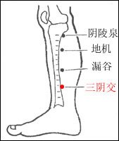 三陰交