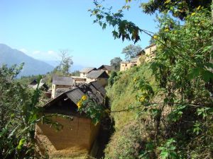 南亢下新寨村 南亢下新寨村