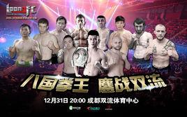 2015世界功夫大賽 2015世界功夫大賽