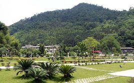 林中村[江西省贛州市龍南縣安基山林場林中村]