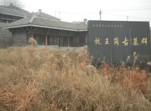 放王崗古墓群 放王崗古墓群