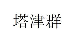 塔津群 塔津群