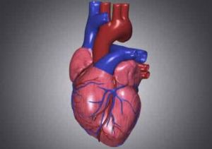 《心臟還在跳》