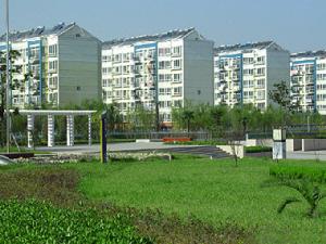 新日月翠洲嘉園 新日月翠洲嘉園