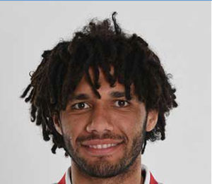 默罕默德·埃爾內尼 默罕默德·埃爾內尼