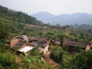 竹棚箐自然村 竹棚箐自然村