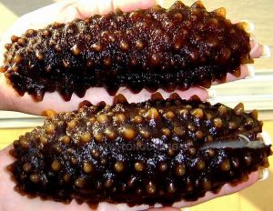 糖乾海參 糖乾海參