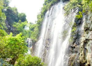 四會奇石河 四會奇石河