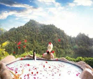 天禧溫泉度假酒店 天禧溫泉度假酒店