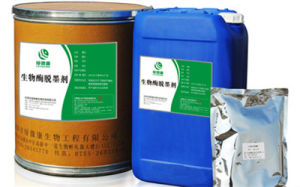 造紙脫墨促進酶 造紙脫墨促進酶