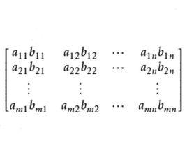哈達瑪積 哈達瑪積