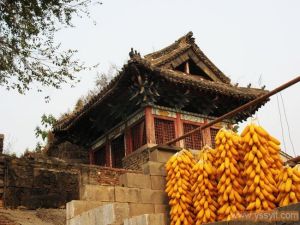 邀兔崖村 邀兔崖村