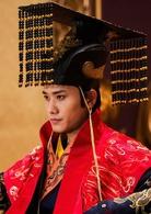 蘭陵王妃[2016年張含韻、陳奕主演電視劇]