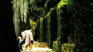 班傑明&middot;巴頓奇事