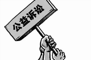 環境公益訴訟 環境公益訴訟