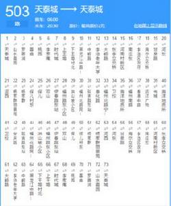青島公交503路 青島公交503路