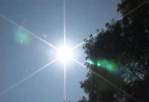 大毒日頭 大毒日頭