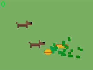 阻擋飢餓的小狗