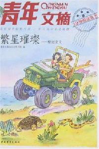 繁星璀璨 繁星璀璨