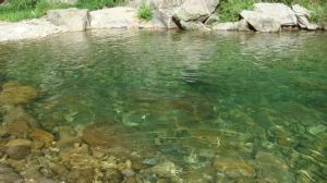 安地卷霉 安地卷霉