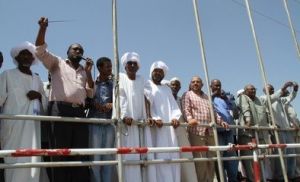 加達里夫省 加達里夫省