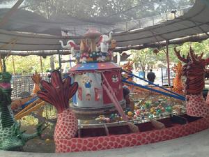 群龍鬧海 群龍鬧海